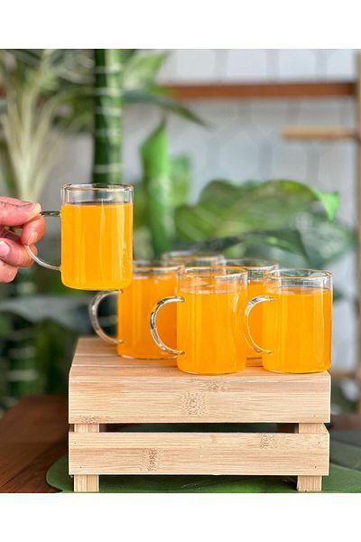 Hanedanev 6 Pieces Borosilicate Heat Resistant Thermisil Glass Mug Cup 200 ml