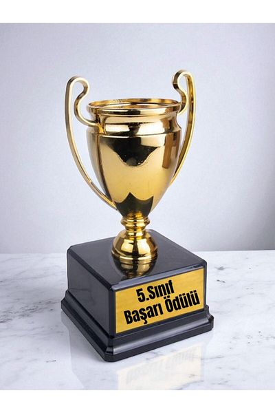 lili hediyelik 5. Classroom Achievement Award - Transcript Gifts Student Gift Souvenirs