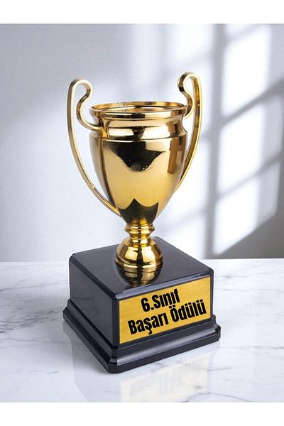 lili hediyelik 6. Classroom Achievement Award - Transcript Gifts Student Gift Souvenirs