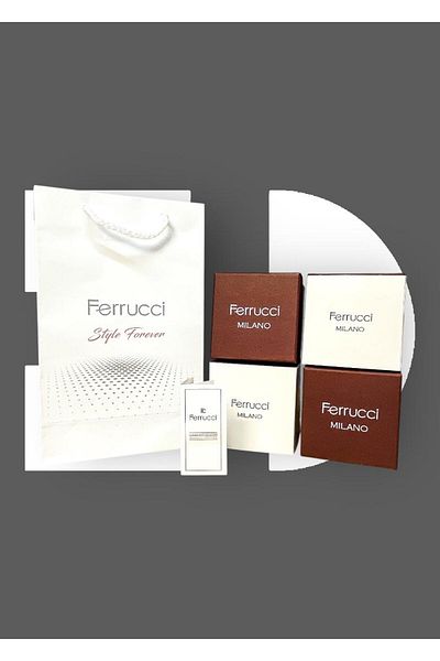 Ferrucci Original 2 Years Guarantee 3 Atm Waterproof Steel Band Men Wrist Watch
