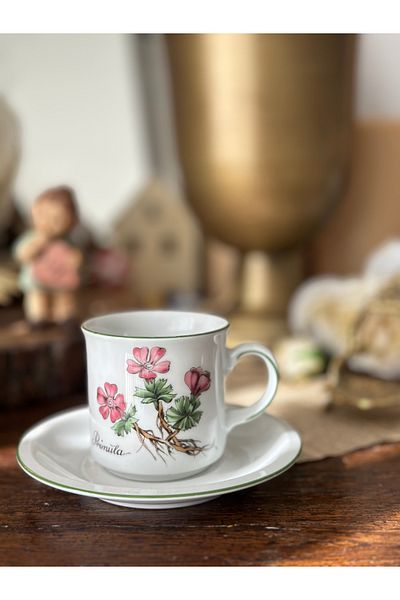 Bavaria Winterling Bavarian German Antique Porcelain Pink Floral Double Coffee Cup White