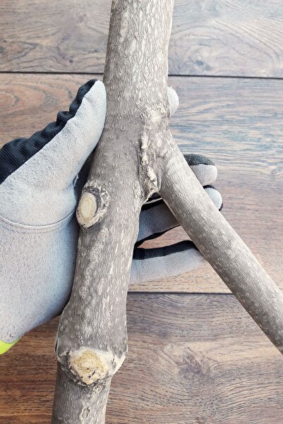 Vixpet Venty Natural Parrot Cage Beam 48.5 cm | Macaw, Cockatoo, Jako, Amazon, Eclectus, Alex, Kayak V826