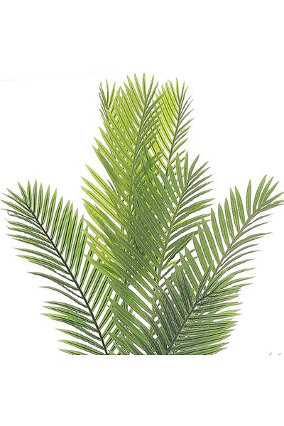 Gharaib Al Tuhaf Green Elite Palm Tree - A Luxurious Touch to Decor 180cm