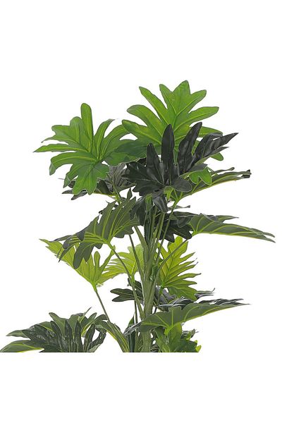 Gharaib Al Tuhaf Tropical Montera plant - 120 cm