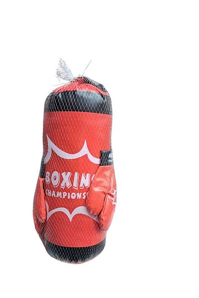 rexa Mini Boxing Set with Gloves and Bag for Kids