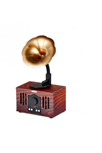 DLC Classic Speaker with Radio, Bluetooth, Memory and USB Ports