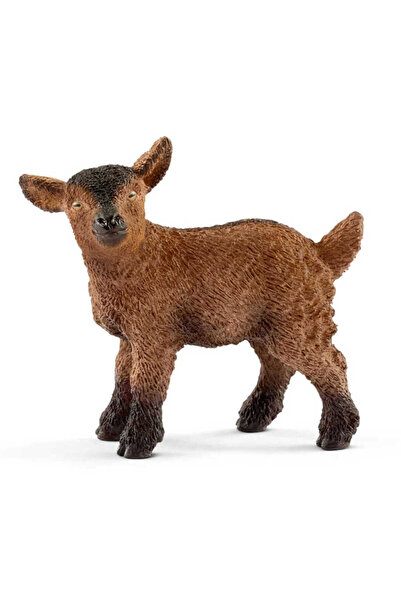 Genel Markalar Yavru Keçi 13829