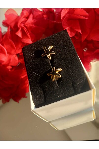 Jewerly Çelik küpe deniz yıldızı figürlü çocuk