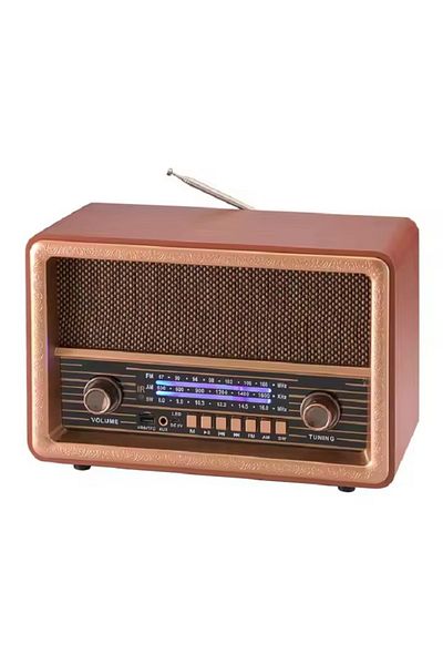 DLC All In One 8W Radio With Remote Radio USB Player /TWS /TF Player/BT Connect