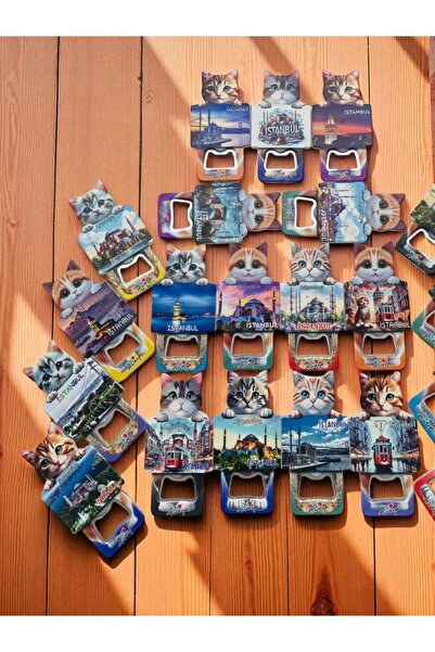 GALATA GIFT فتاحة زجاجات على شكل قطة مغناطيس - 6 قطع مغناطيس قطة تحمل صورة اس...