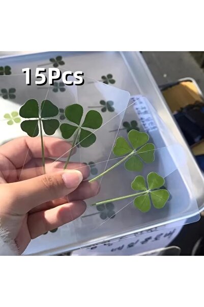 Choice ١٥ قطعة من بطاقات بريدية لمحاكاة حظ سعيد على شكل نبات البرسيم ذي الأرب...