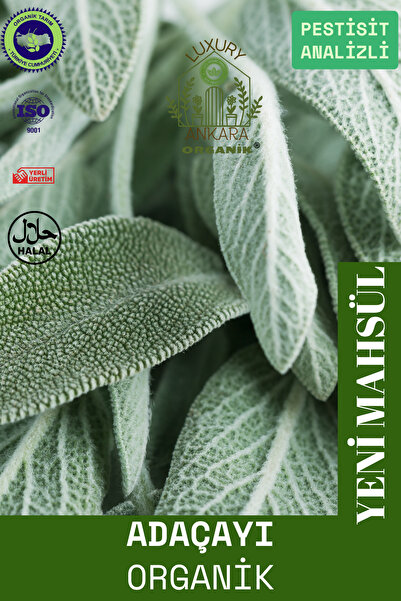 Ankara Organik Adaçayı Organik - Saf Yaprak, Elenmiş 75 GR
