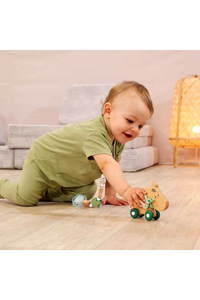 Eichhorn Wooden wheeled toy for babies Eichhorn Magarus
