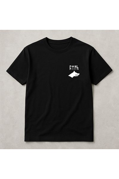 Pisa Art Тениска с щампа на Гьоктурски