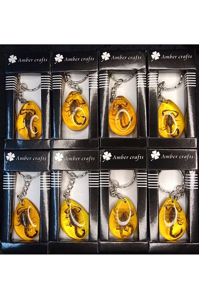 Wolawood Real Scorpion Fossil Set of 12 Keychain Natural Resin Transparent Car Bag Ornament Decor Gift Set