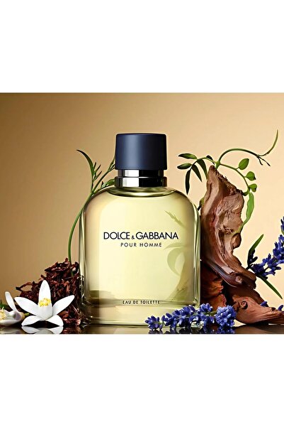 Dolce&Gabbana Dolce & Gabbana Pour Homme Eau De Toilette Spray (New Version) - 75 ml/2.5 oz