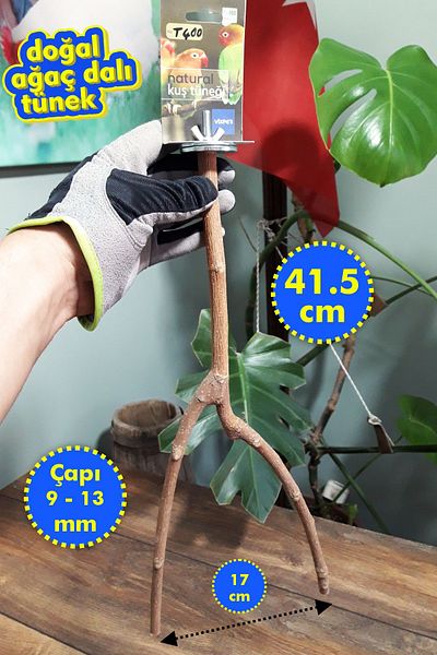 Vixpet Venty 41.5 cm Natural Parrot Perch - Branch Perch |   Budgie, Forpus, Sevda, Paradise, Kakariki - T400