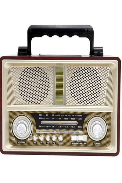DLC 4 in 1 Radio USB/SD/TF/BT AC220V