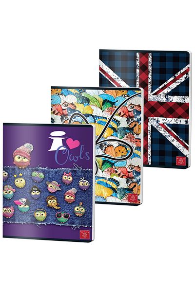 PIGNA , Notebook A4 80 Pages, Dictando Ruling, Color Cover, Stapled Binding