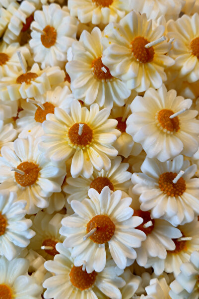 Bernami Pinterest 10 lumânări Daisy care plutesc pe apă și pot fi folosite ca...