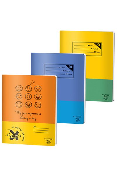 PIGNA , Notebook A4 80 Pages, Dictando Ruling, Basic Cover, Stapled Binding
