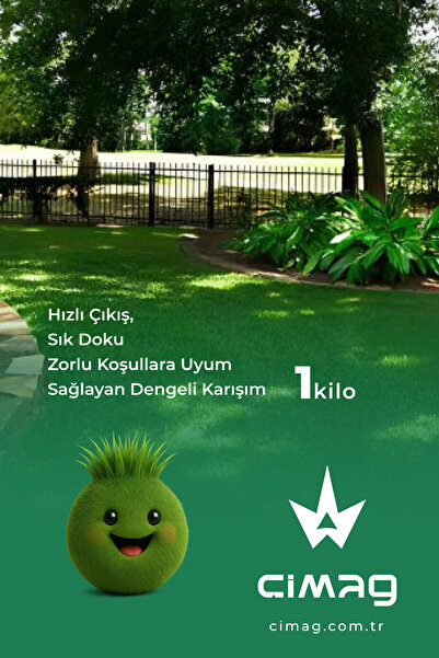 çimag Gölge Alanlar için Çim Tohumu (5 Mix Gölge) - 1 kg