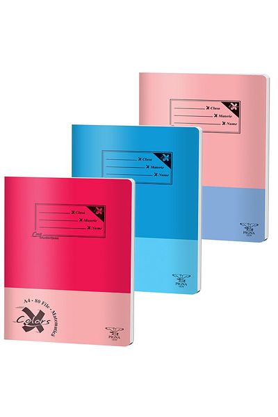 PIGNA , Notebook A4 80 Pages, Arithmetic Ruling, Basic Cover, Stapled Binding