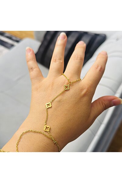 staınless steel شاهمران الحديد