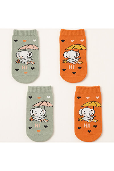 Black Arden Socks Sevimli Ayı Desenli Kız Çocuk Patik Çorap 4’lü Paket”