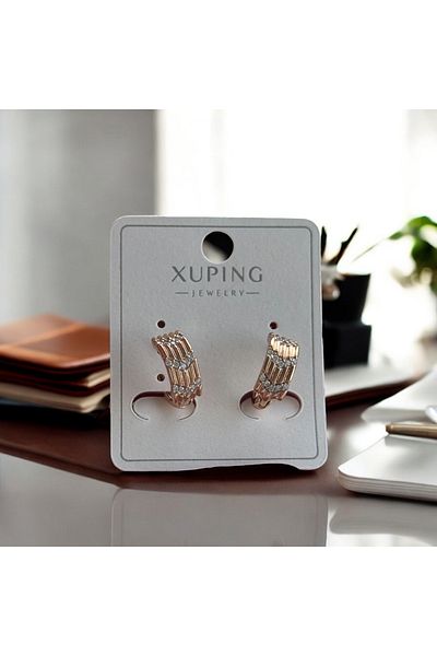 İNN JEWELLERY Steel Earrings Anti-Tarnish Anti-Allergic Zirconium Figured (2 Years Importor Warranty)