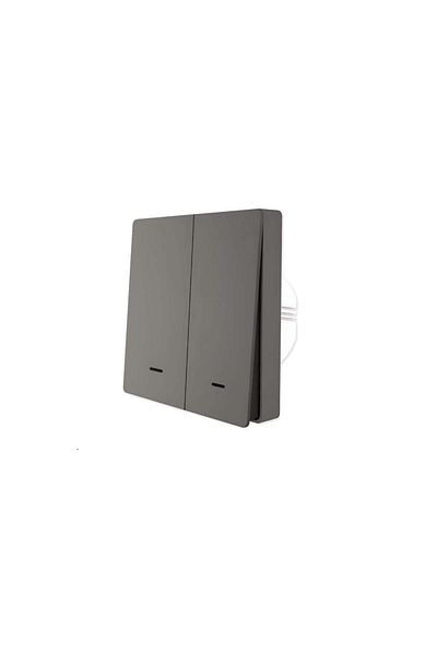 Generic Dual Black Smart Light Switch