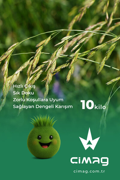çimag Festuca Arundinacea Çim Tohumu - 10 kg (Kamışsı Yumak)