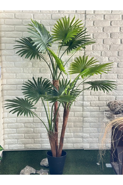 çiçek rengi dekor 3lü Palmiye Ağacı (yapay ağaçtır 210cm)
