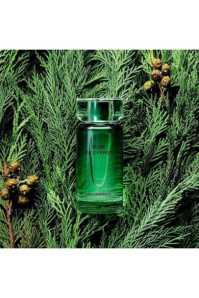 Karl Lagerfeld Bois De Cypres, Eau De Toilette, Men, 50 ml