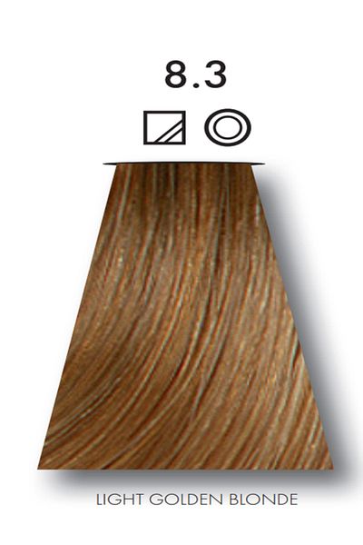 Keune 2 packs of Keune Tinta Color Hair Dye No. 8.3 Light Golden Blonde with Silk Protein Treatment