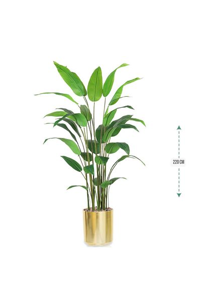 Ch Bird of Paradise Leaf Tree Plastic Pot 220cm
