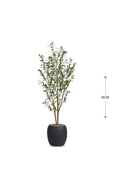 Ch 155cm Fiberglass Basin Olive Tree