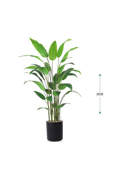 Ch Bird of Paradise Leaf Tree Plastic Pot 220cm