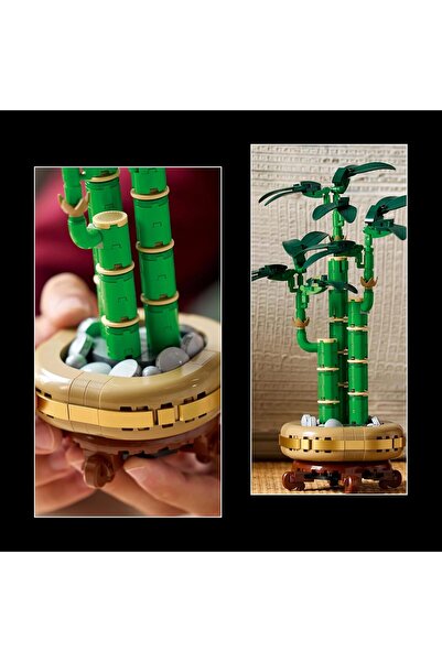LEGO Botanicals Lucky Bamboo (10344) – Adult Building Set – Home & Office Decor