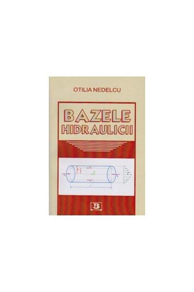 Editura Bibliotheca Basics of Hydraulics, Otilia Nedelcu