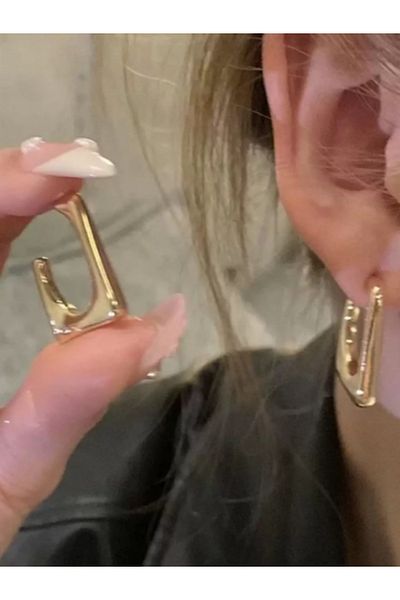 ZUCA Steel Stylish Earrings