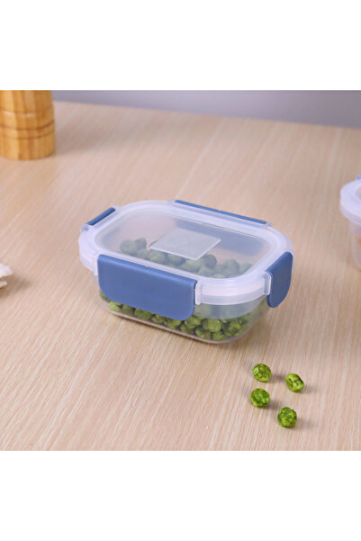 ORCHID SUPER LOCK 300 ML RECT STORAGE NEXT SERIES