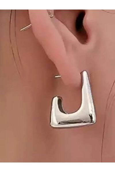 ZUCA Steel Stylish Earrings