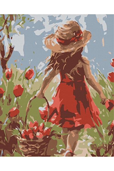 İZSA HOBİ Sayılarla Boyama Hobi Seti 40x50 Çerçeveli Numaralı Tuval Fırça Boy...