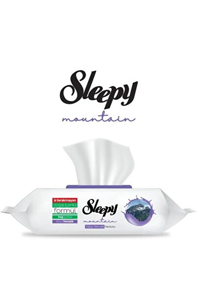 Sleepy Yüzey Temizleme Havlusu Dağ Esintisi - Mountain 100'lü