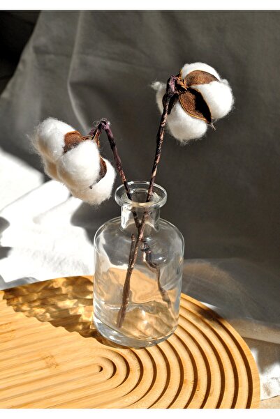 Qualitev Cam Mini Vazo Şeffaf Dekoratif Minimal Şişe 210 ml 12 Cm-1 Adet