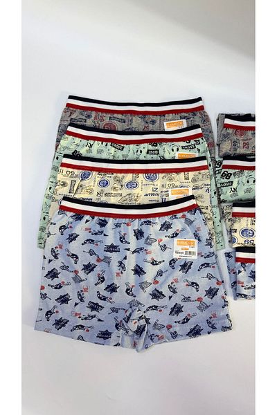 ExLove 4-Piece Boy's Lycra Combed Cotton Boxer