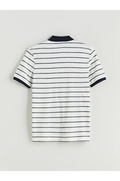 LC Waikiki New Season Polo Collar Striped Combed Cotton Men's T-Shirt - S5Q975Z8