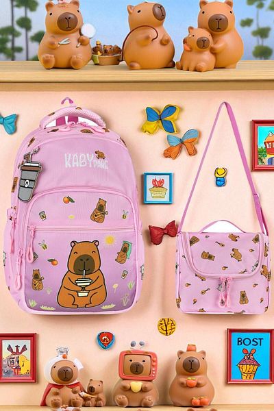 Shopiolog Primary School Orthopedic Waterproof 3 Compartment Primary School Boy's Backpack with Water Bottle