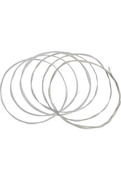 FENDER Set of 6 classical guitar strings, nylon / silver